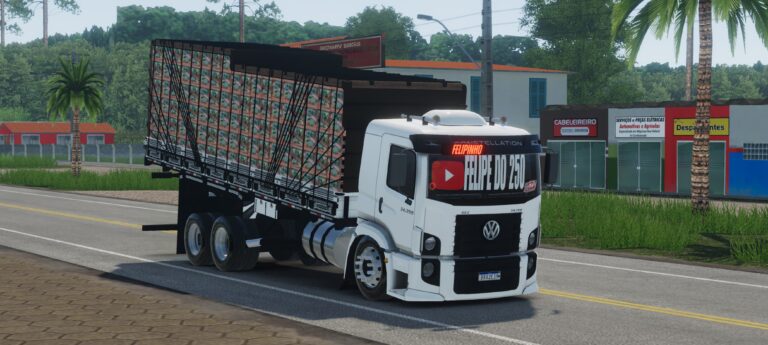 COSTELLATION FELIPE DO 250 – GLOBAL TRUCK ONLINE